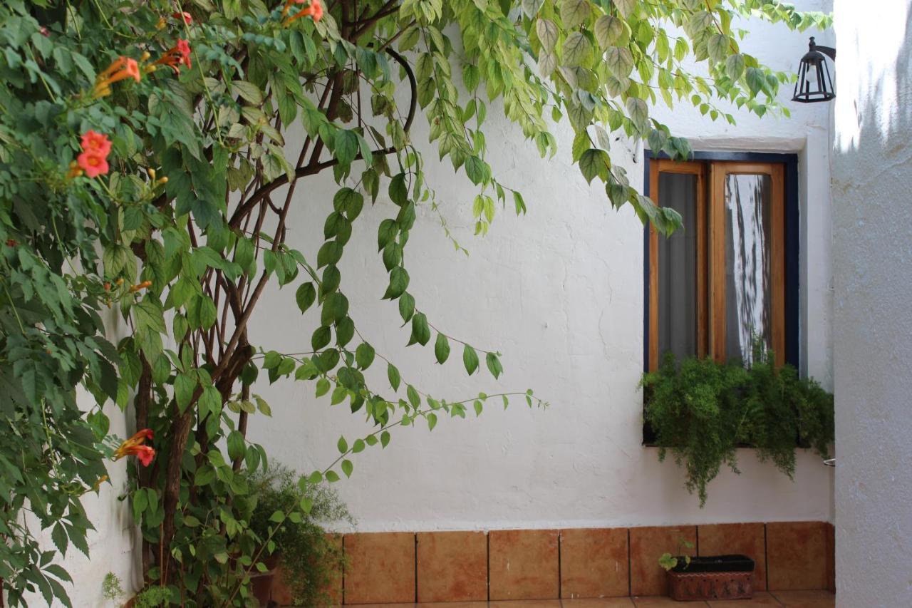 ケサダ Casa Alcaidaヴィラ エクステリア 写真